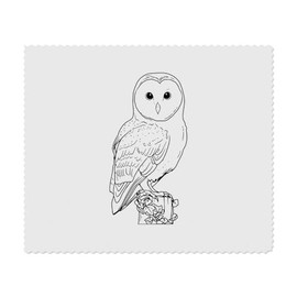 2 x 'Sitzende Schleiereule' Mikrofaser-Objektiv- / Brillenreinigungstücher (LC00028634)