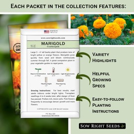 Sow Right Seeds - Annual Flower Seed Garden Collection for Planting - 5 Packets Includes Marigold, Zinnia, China Aster, Sunflower, and Cosmos - Grow in Pots or Outside, Raised Beds - Variety Pack