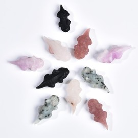 CNYANFEI 10 Pcs Natural Crystal Quartz Giant Salamander Shaped Healing Crystal Stones Fish Tank Decoration 1.4"