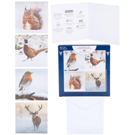 Box of 12 British Winter Animals Multiple Charity Christmas Cards In 4 Designs
