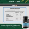 Suplemento Zinc Vitamina Jengibre Cápsulas Endaroo