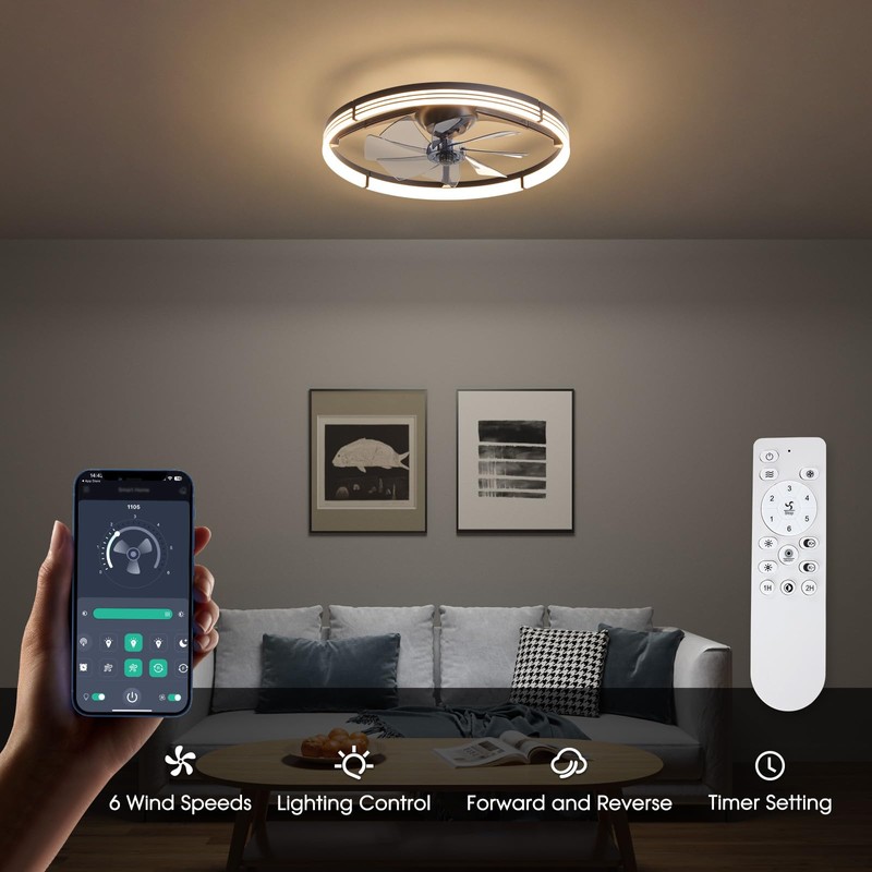 LUDOMIDE 24 Inch Ceiling Fans with Lights and Remote, Modern