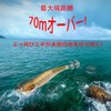 Octopus Egi King K No. 3.5, 1.1 oz (30 g),
