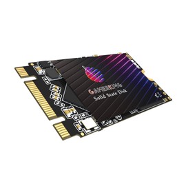GamerKing SSD M.2 2242 64GB Ngff Internal Solid State Drive 1TB 512GB 256GB 128GB for Desktop Laptops SATA III 6Gb/s High Performance Hard Drive (64GB, M.2 2242)