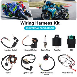 LAXEEM Complete Electrics Wiring Harness Kit, Coil Stator Solenoid Relay CDI Spark Plug for 4 Wheelers Stroke ATV 50cc 70cc 90cc 110cc 125cc Go Kart Pit Quad Dirt Buggy Bike Parts