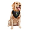 Back to School Happy First Day of School Dog Bandanas