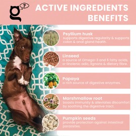 The Pet Guru - Tummy Guru Tummy Settler for Dogs, 200gm - Natural Dog Health - Pre and ProBiotic - Improve Immunity - Anal Gland Problems - Relieves Upset Stomach, Diarrhoea, Constipation.