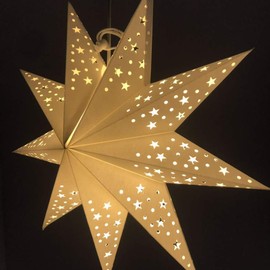 BESPORTBLE Pack of 2 Lampshade Star: 45 cm Paper Star Lampshade Christmas Star Paper Hollow Christmas Pendant Wedding Birthday Party Christmas Decoration