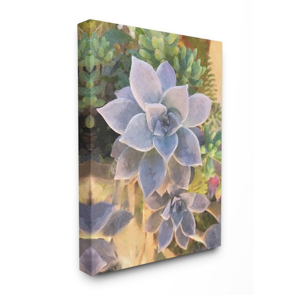 Stupell Industries Succulent Plant Desert Party Painting Canvas Wall Art,
