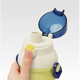 Skater PSB5SANAG-A Dinosaurus Picture Water Bottle, 16.2 fl oz (480 ml), For Kids, Boy, Antibacterial, Plastic, Made in Japan