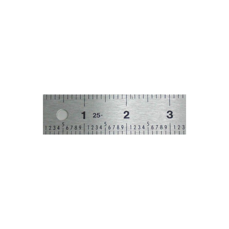 Tenths Ruler, 12 Inch
