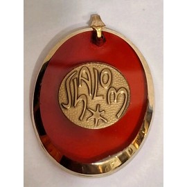 Vintage Chi Rho Shalom PEACE Pendant Medal Red Blue Or  Green Lucite New - old