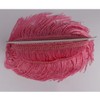 Heartwish268 Fringe Trim Lace Polyerter Fibre Tassel 6inch Wide 10