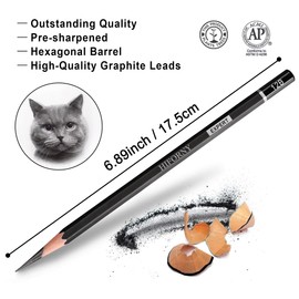 HIFORNY 24本 グラファイトスケッチ鉛筆セット - グラファイト鉛筆 (14B - 5H) スケッチ鉛筆 描画用鉛筆 製図用鉛筆 アート鉛筆 19グレード