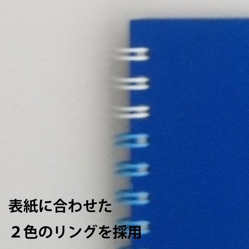 Maruman Sketchbook F0 Art Spiral Drawing Paper, Thick, Blue, 24