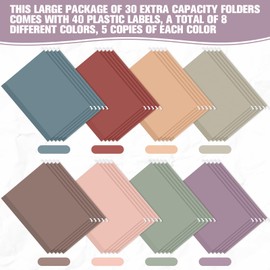 Sepamoon 40 Pcs Hanging File Folders Extra Capacity File Folders Letter Size for Filing Cabinet Expandable Reinforced Color Hanging Organizer(Morandi Color)