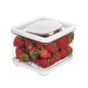iDesign Fridge Produce Bin with Removable Drainage Tray and Lid
