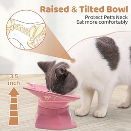 DNOYEUS Small Elevated Slow Feeder Cat Bowl, Cute Tilted Elevated Bowls and Dishes for Cats & Small Dogs, Whisker Friendly, Anti Vomiting Raised Pet Bowl for Dry and Wet Food, Pink