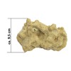 Rocks/Stone, 13.5 x 9.5 x 5.5 cm, Nano Aquarium Seawater