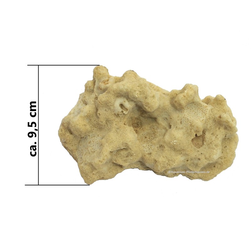 Rocks/Stone, 13.5 x 9.5 x 5.5 cm, Nano Aquarium Seawater