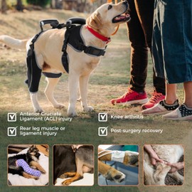 LISPOO Dogs Knee Brace for Back Leg, Hinged Dog Knee Brace for Torn ACL Hind Leg, Dog Knee Brace for Luxating Patella, Dog Brace for Back Leg Support（M）
