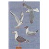 Ekelund - Måsar Tea Towel 40 x 60 cm 100%