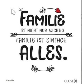 20 Serviette Sprüche Guests Family Birthday Party Food Text 33 x 33 cm