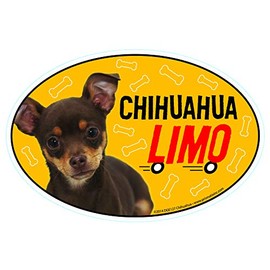 Chihuahua (Multi) Car Magnets: Chihuahua (Multi) Limo on Board - Oval 6" x 4" Auto/ Truck/ Refrigerator/ Mailbox (Funny Car Decals, Dog Magnet, Chihuahua (Multi)