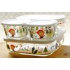 iwaki B3247-SNA1 Pack & Range Heat-Resistant Glass Storage Container, Shinzi
