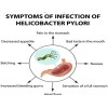 SUPPLEMENTS4ME NATURAL HELP FOR STOMACH BACTERIA - H. PYLORI -