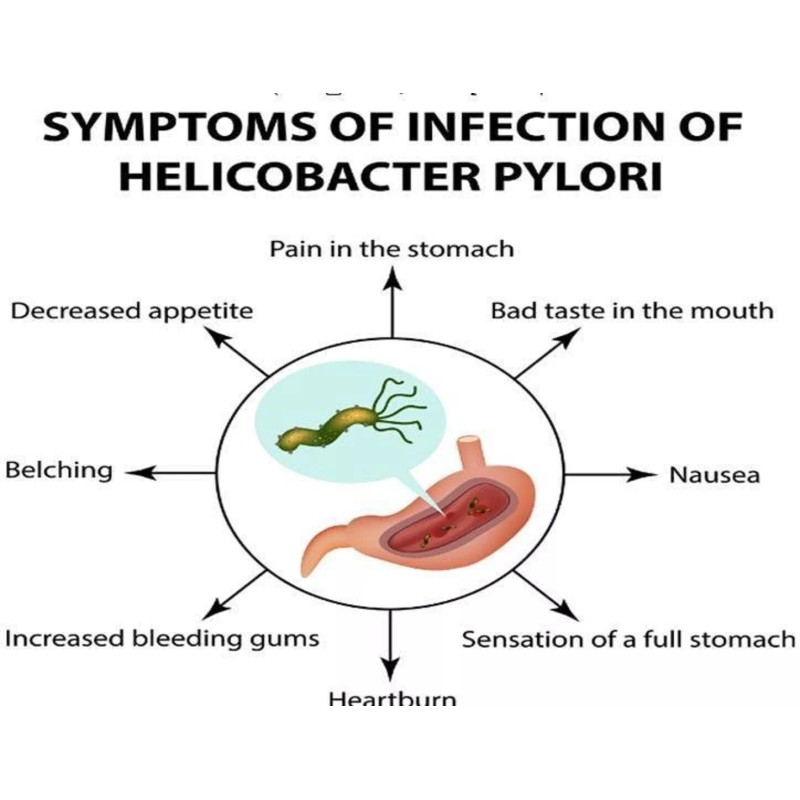 SUPPLEMENTS4ME NATURAL HELP FOR STOMACH BACTERIA - H. PYLORI -