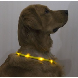 Orchidtent LED Light - up Safety Collar for Dogs, Night Safety, High Visibility, Luminous Collar, Attention Grabbing, Shining Collar, For Walks, Outings, Accident Prevention, yelow