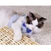 Plus Nao Cat Harness Lead Set, Leash, Chestplate, Vest, For