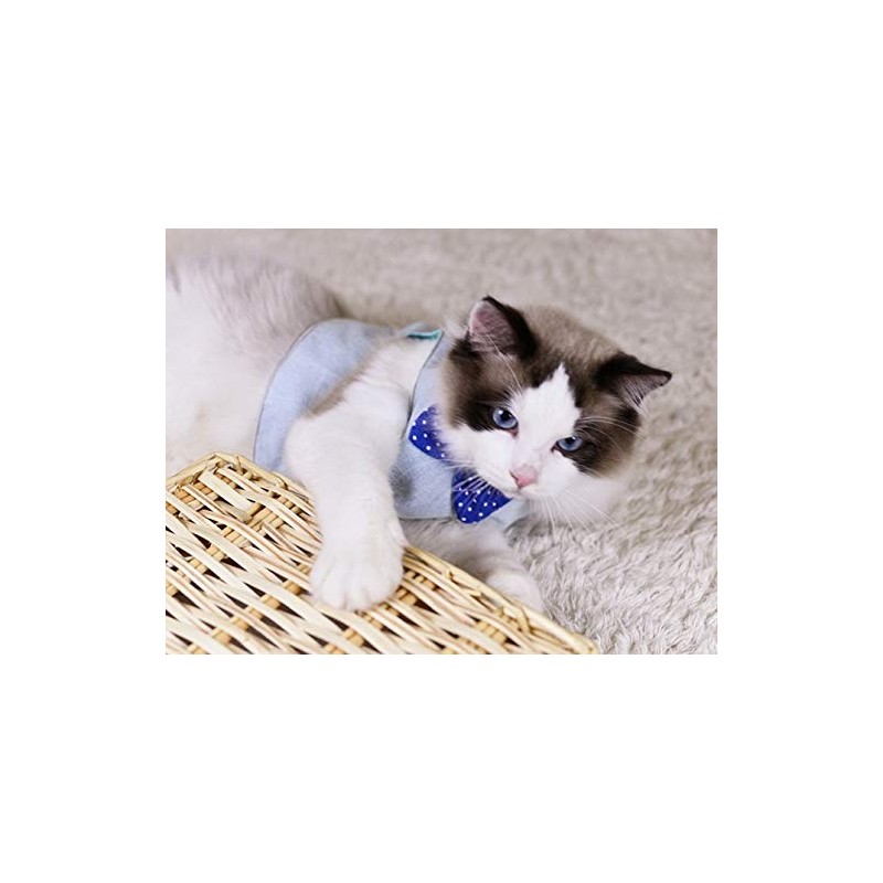 Plus Nao Cat Harness Lead Set, Leash, Chestplate, Vest, For