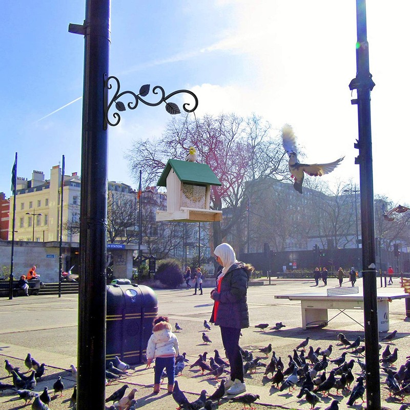 4Pcs Wall-mounted Iron Hooks Plant Holder Decorative Hook for Bird