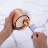Nirosta Yogurt Spoon, Stainless Steel Gelato/ Ice Cream Spoon, Fruit