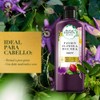 HERBAL ESSENCES Bio:Renew, Passion Flower & Rice Milk, Shampoo 400