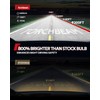 Torchbeam T2 2025 9005 H11 Fog Bulbs Combo, 6000K Cool