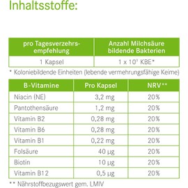 Pascoflorin Immune – 20 Probiotic Strains with B12, Biotin, Inulin & Folic Acid – Supports Gut Health & Antibiotic Therapy