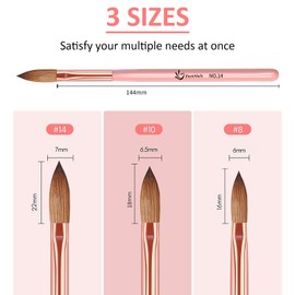 3 PCS Acrylic Nail Brush Set, Acrylic Brushes for Nails Size 8/10/14 Nail Brush Set Nail Brushes Durable Brush for Beginner 3D Nail Art Tool Nail Art Brush for Gel Nail