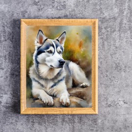 SVINOILER Paint by Numbers Siberian Husky Dog Animal Painting by Number for Adults DIY Digital Painting for Beginners Wall Decor Drawing Gift 16x20 Inch