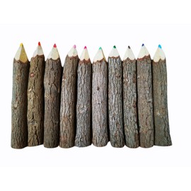 NUTTA - ASSORT COLORED, Branch & Twig Pencil, 12-PCs, Natural Wooden Pencils Wood Tree Rustic Twig Pencils Fun Pencil for Children and Family and Gift (3.5" Inches)