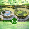 Bird Bath Copper Disk – 1mm Thick 99.9% Pure Copper