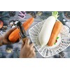 3-in-1 Kitchen Peeler, Scrabber & Grater: a cutting tool with