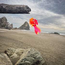 In the Breeze 5220 — 15-inch Hot Damsel Fish Windsock — Colorful Orange and Red Fishsock Hanging Garden Décor with Detailed Printed Graphics