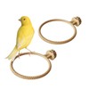 FOIBURELY 2 Ring Plastic Stand Perches Holders Canary Finch Budgie