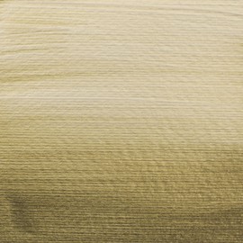 Talens Japan 405274 Acrylic Paint, Amsterdam Acrylic Color, Pearl Yellow T1709-818 405274