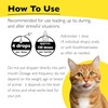 RESCUE Bach Rescue Remedy Pet, 20 Milliliters (3 Pack)