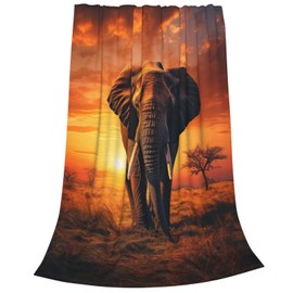 amepay Elephant Prairie Sunset Blanket Gifts for Adults Women Soft Fuzzy Lightweight Flannel Throw Blankets for Home Decor Couch Bed Sofa 60x50 Inches