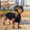 Hjyokuso Dachshund Jumper - Fleece Dog Jumper for Small Dogs,